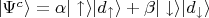 $\vert \Psi^{c} \rangle = \alpha \vert \uparrow \rangle\vert d_{\uparrow}\rangle + \beta \vert\downarrow\rangle\vert d_{\downarrow}\rangle $