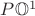 $P\mathbb{O}^1$