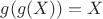 $g(g(X))=X