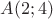 $A(2;4)$ $A(2;4)$