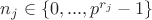$n_j \in \{0, ..., p^{r_j} - 1 \}$ $n_j \in \{0, ..., p^{r_j} - 1 \}$