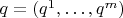 $q=(q^1,\ldots,q^m)$