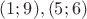 $(1;9),(5;6)$
