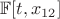$\mathbb{F}[t,x_{12}]$