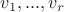 $v_1,...,v_r$