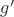 $g^\prime$