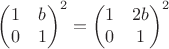 $\begin{pmatrix}
1 &b\\
0 &1
\end{pmatrix}^2= \begin{pmatrix}
1 &2b\\
0 &1
\end{pmatrix}^2$