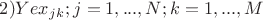 $ 2) Yex_j_k;  j = 1,..., N ; k = 1,..., M $