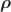 $\boldsymbol \rho$