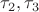 $\tau _{2}, \tau _{3} $