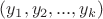 $(y_1,y_2,...,y_k)$