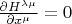 $\frac{\partial H^{\lambda \mu}}{\partial x^{\mu}}=0$