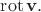$\operatorname{rot}\mathbf{v}.$