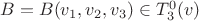 $B=B(v_1,v_2,v_3) \in T_3^0(v)$