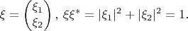 $$\xi=\begin{pmatrix}\xi_1  \\ \xi_2  \\  \end{pmatrix},\,\xi\xi^*=|\xi_1|^2+|\xi_2|^2=1.$$