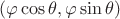 $(\varphi \cos\theta, \varphi\sin\theta)$