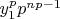 $y_1^p p^{np-1}$