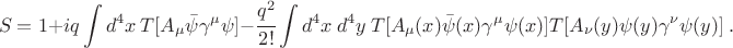 $$ S=1 +iq \int d^4 x ~ T[ A_\mu \bar \psi \gamma^\mu \psi] -\cfrac{q^2}{2!} \int d^4 x ~ d^4 y ~ T [A_\mu(x) \bar \psi(x) \gamma^\mu \psi(x)] T[ A_\nu(y) \psi(y) \gamma^\nu \psi(y)] ~. $$