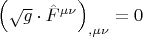 $\left( {\sqrt g \cdot \hat F^{\mu \nu } } \right)_{,\mu \nu }  = 0$