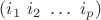$(i_1~i_2~\ldots~i_p)$