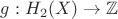 $g: H_{2}(X) \to \mathbb{Z}$