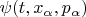 $\psi(t, x_\alpha, p_\alpha)$