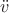 $\ddot{v}$