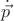 $\dot{\vec p}$ $\dot{\vec p}$