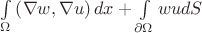 $\int\limits_\Omega {\left( {\nabla w,\nabla u}\right)dx}+\int\limits_{\partial \Omega }{wudS}$