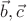 $\vec b, \vec c$
