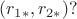 $(r_{1*},r_{2*})?$