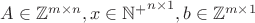 $A \in \mathbb{Z}^{m\times{}n}, x \in {\mathbb{N}^{+}}^{n\times{}1},b\in\mathbb{Z}^{m\times{}1}$