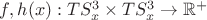 $f,h(x):TS^3_x\times TS^3_x\to \mathbb{R}^+$ $f,h(x):TS^3_x\times TS^3_x\to \mathbb{R}^+$