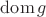 $\operatorname{dom} g$