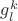 $g_{l}^{k}$