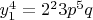 $\[y_1^4  = 2^2 3p^5 q\]$