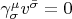 $\gamma _\sigma ^\mu  v^{\bar \sigma }  = 0$