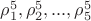 $\[\rho _1^5,\rho _2^5,...,\rho _5^5\]$