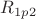 $R_{1p2}$