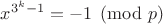 $x^{3^{k}-1} = -1 \pmod p$