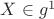 $X\in{g^1}$