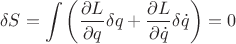 $$\delta S = \int{\left(\frac{\partial L}{\partial q} \delta q + \frac{\partial L}{\partial \dot{q}} \delta \dot{q}} \right) =0 $$