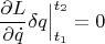 $$\frac{\partial L}{\partial\dot q}\delta q\Big|_{t_1}^{t_2}=0$$