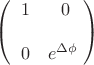 $$\begin{pmatrix}\;\;1 & 0\\ \\\;\;0 & e^{\Delta\phi}\;\end{pmatrix}$$ $$\begin{pmatrix}\;\;1 & 0\\ \\\;\;0 & e^{\Delta\phi}\;\end{pmatrix}$$