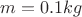 $m= 0.1 kg$