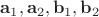$\mathbf a_1, \mathbf a_2, \mathbf b_1, \mathbf b_2$