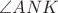 $\angle ANK $