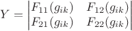 $$Y = \begin{vmatrix}
F_{11}(g_{ik}) & F_{12}(g_{ik}) \\ 
F_{21}(g_{ik}) & F_{22}(g_{ik})
\end{vmatrix}$$