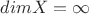 $dim X = \infty $
