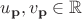 $u_{\bold{p}}, v_{\bold{p}} \in \mathbb{R}$